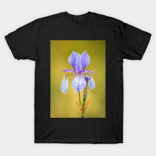 Purple Bearded Iris Flower T-Shirt